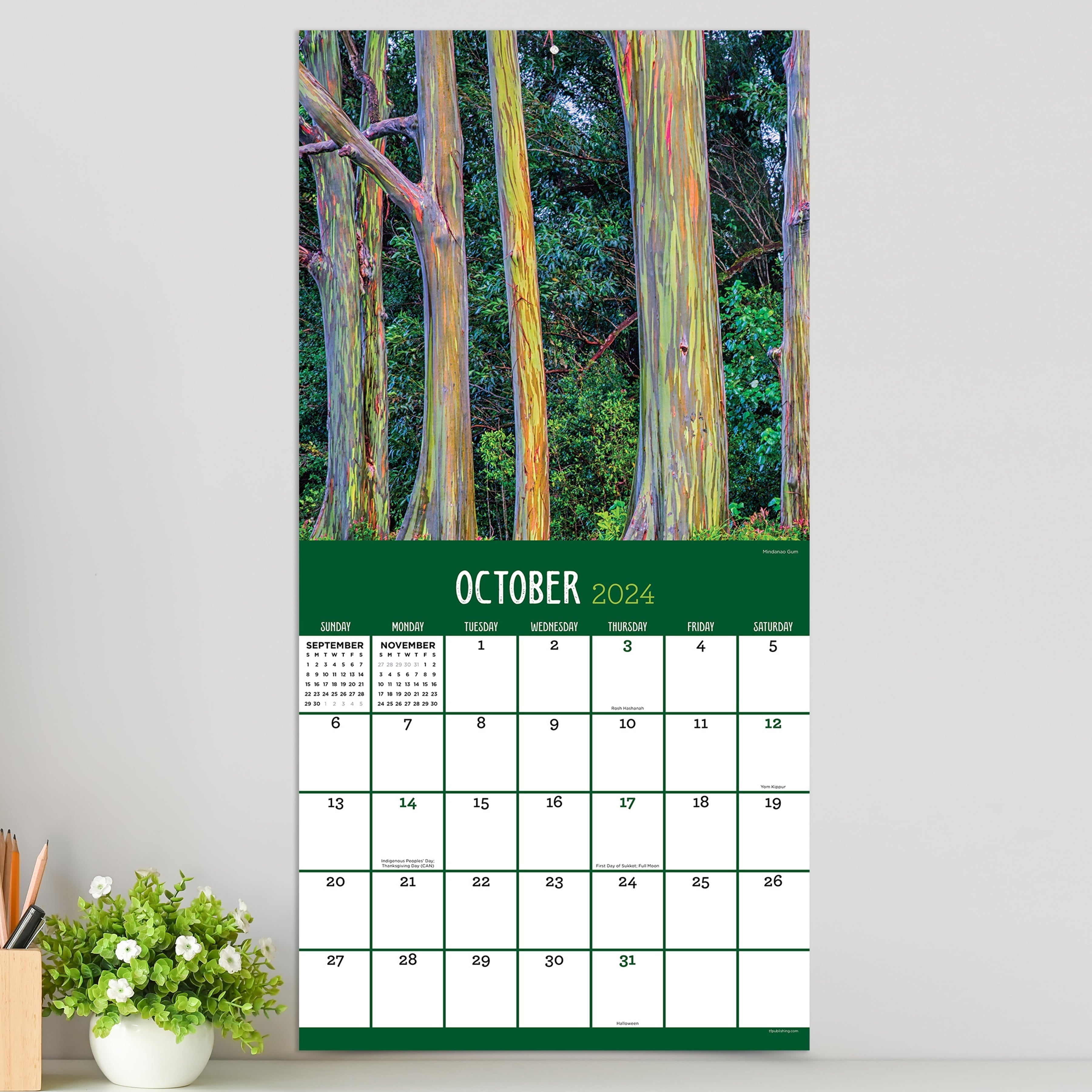 2024 Trees - Square Wall Calendar