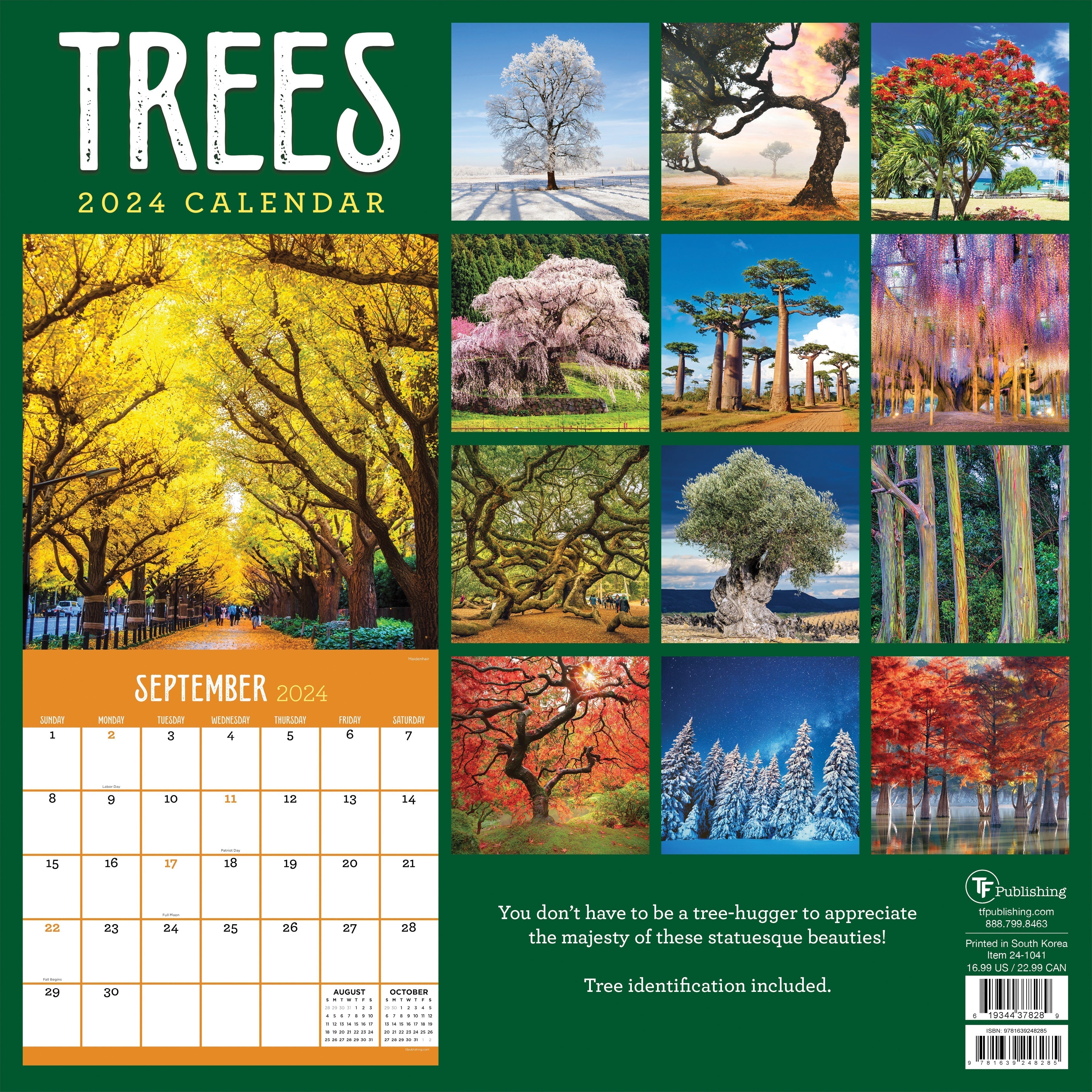 2024 Trees - Square Wall Calendar