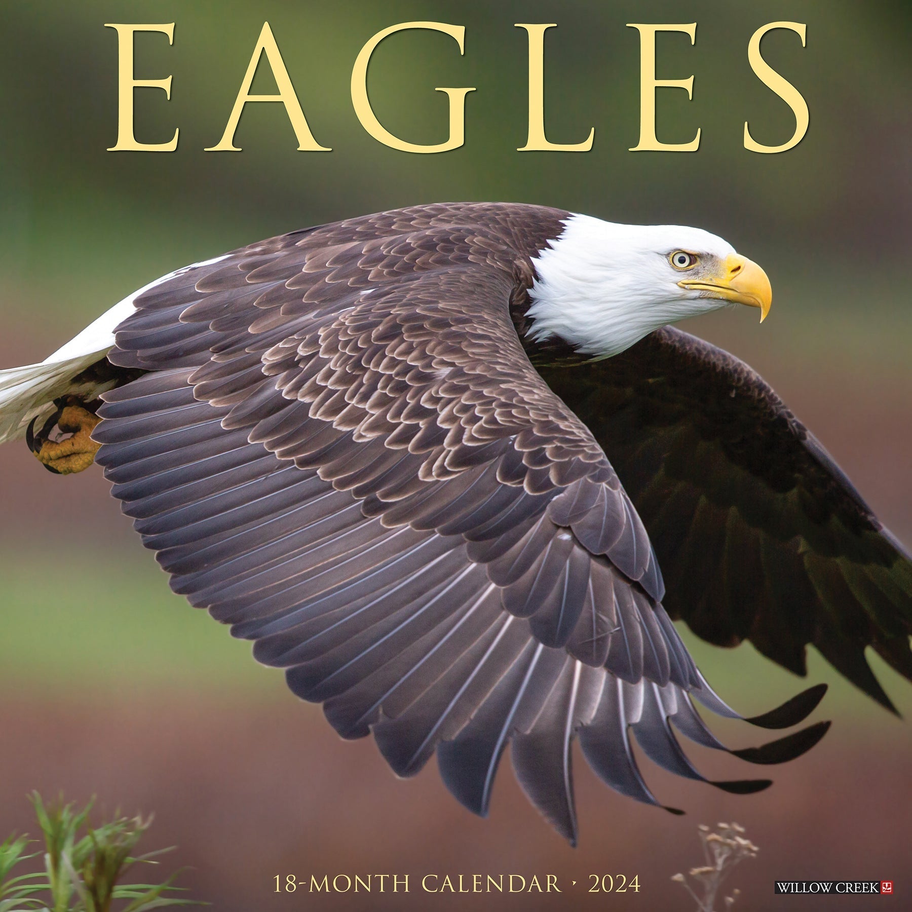 2024 Eagles - Wall Calendar