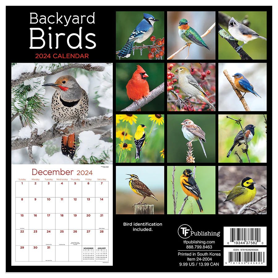 2024 Backyard Birds - Mini Wall Calendar