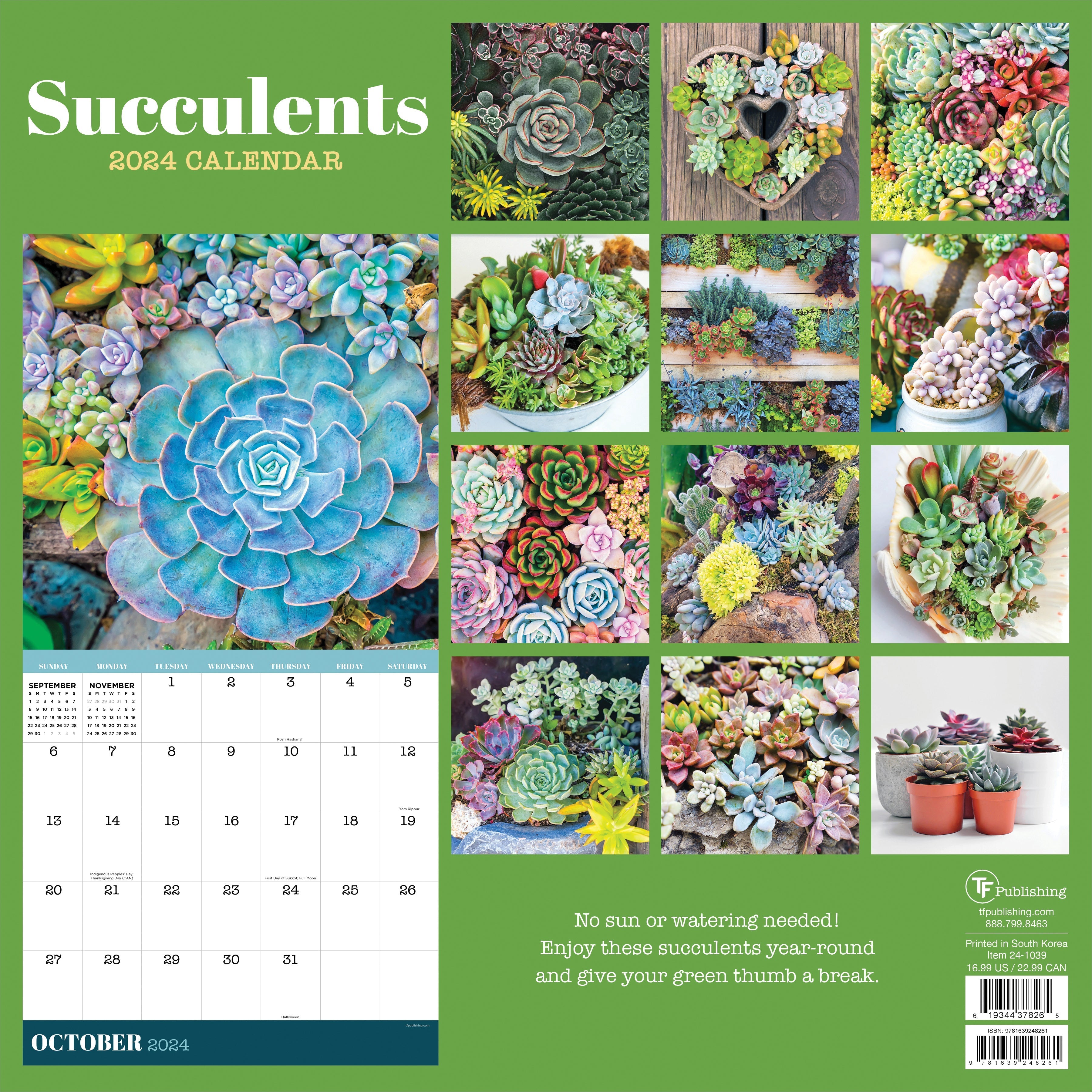 2024 Succulents (by TF Publishing) - Square Wall Calendar