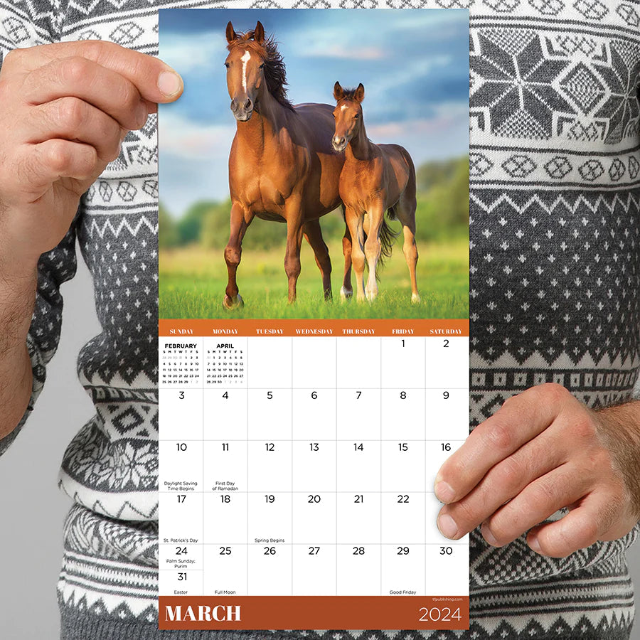 2024 Horses - Mini Wall Calendar