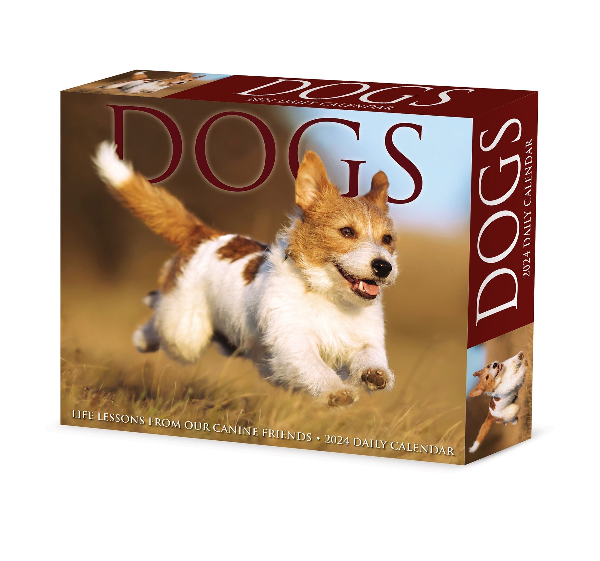 2024 Dogs - Boxed Page A Day Calendar