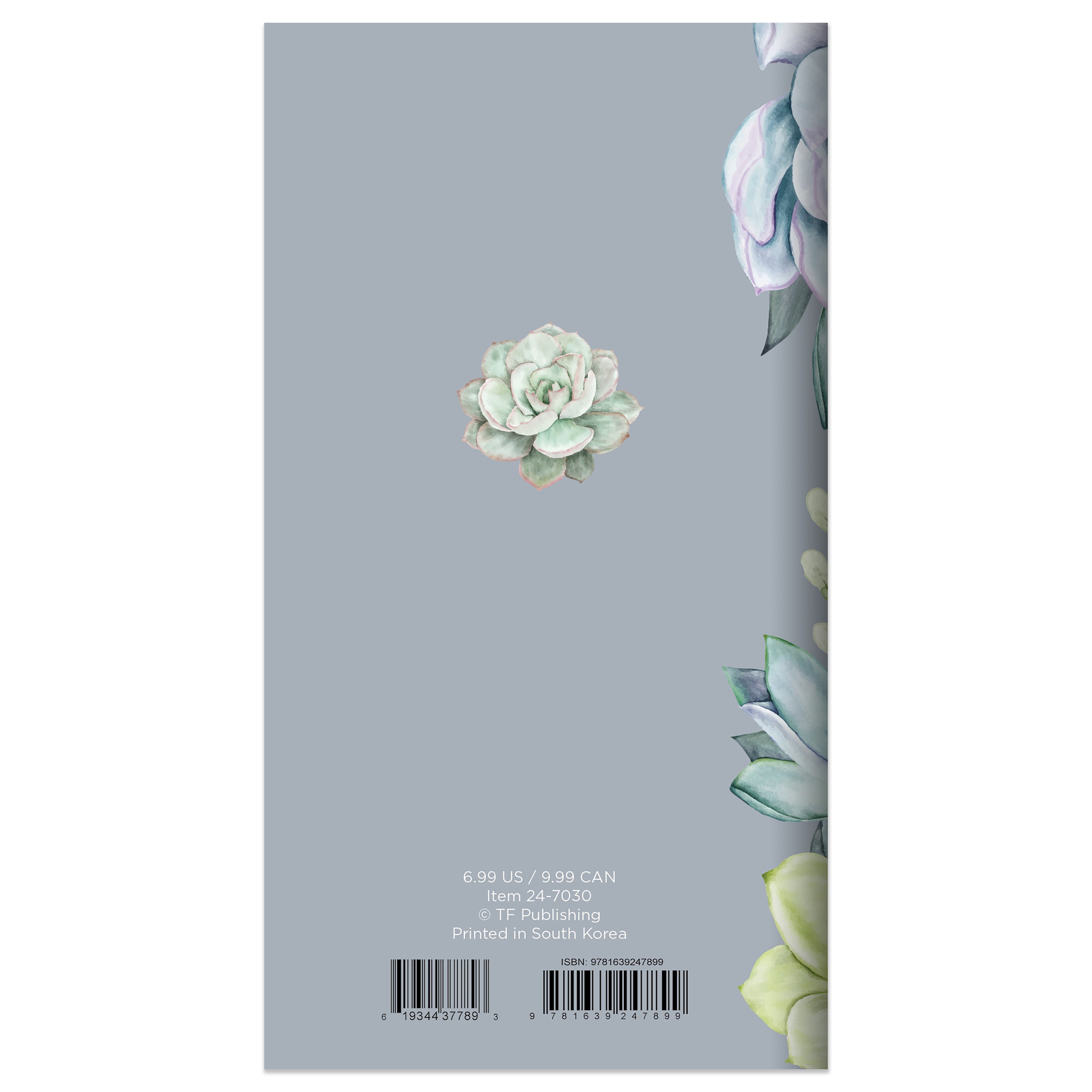 2024-2025 Succulent - Small Monthly Pocket Diary/Planner