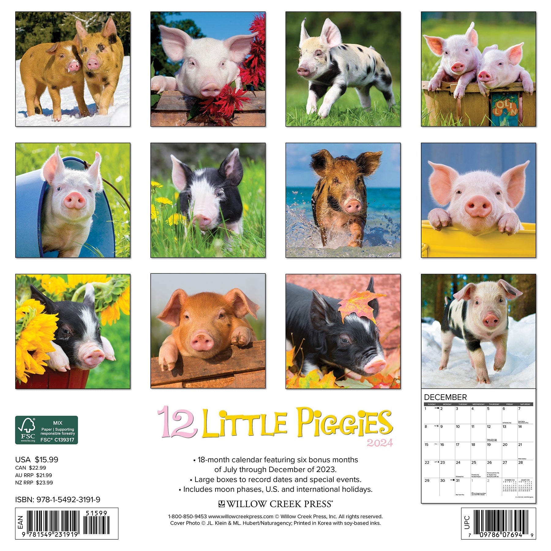 2024 12 Little Piggies - Wall Calendar