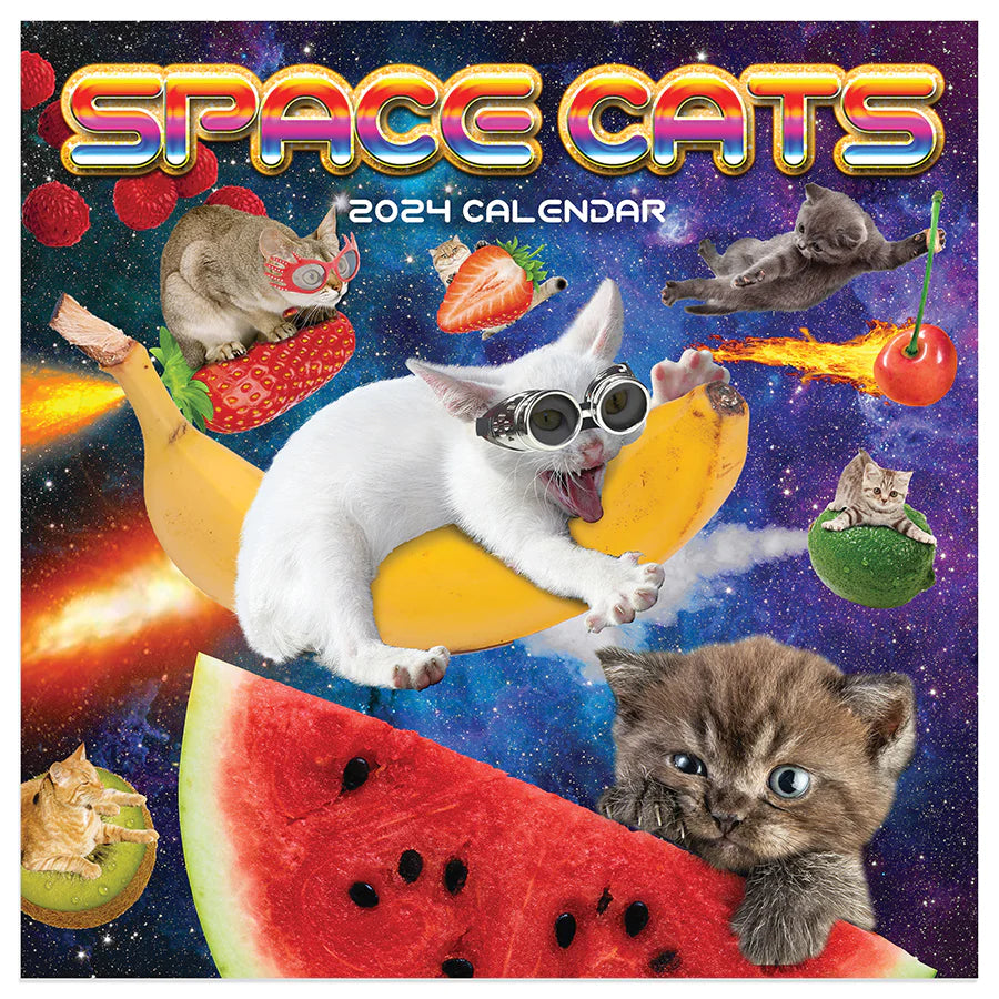 2024 Space Cats - Mini Wall Calendar