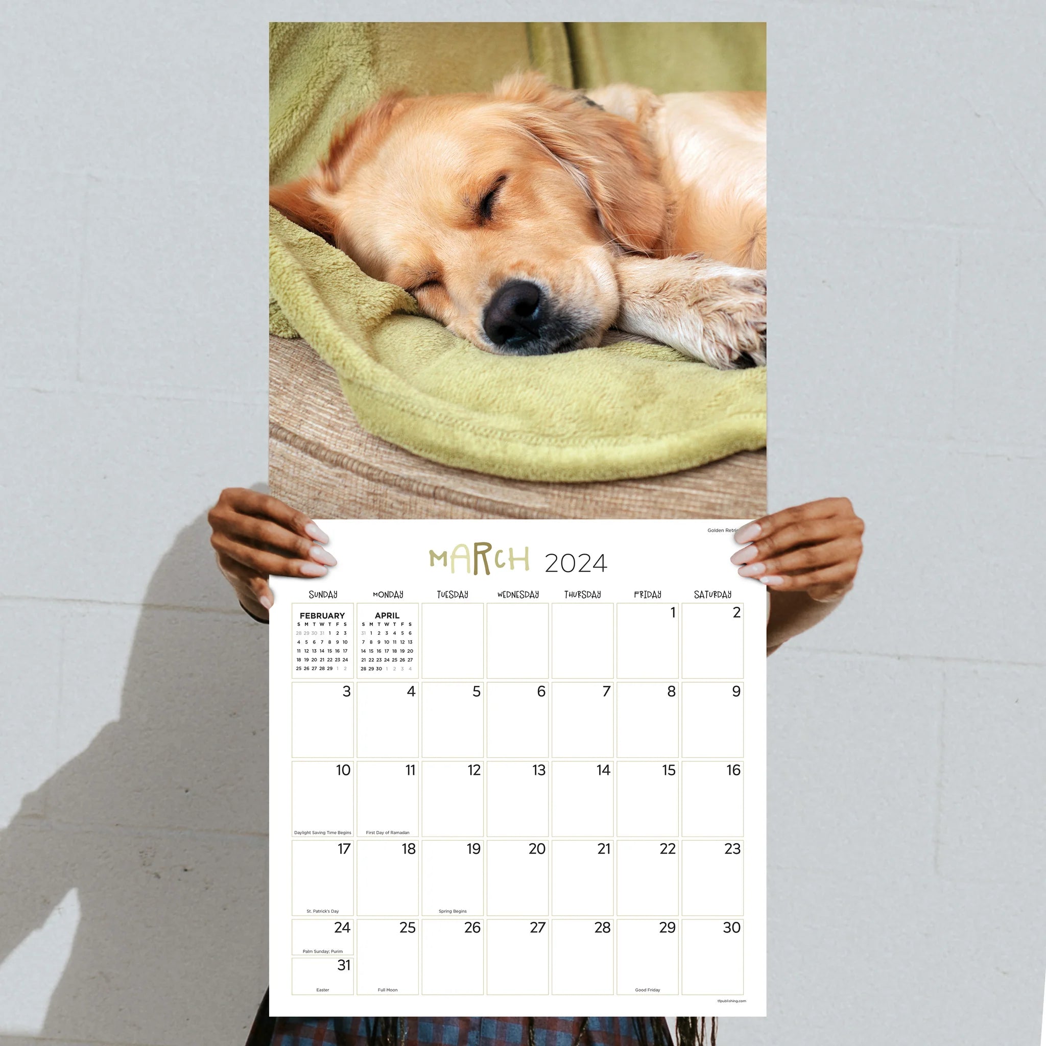 2024 Dog Dreams - Square Wall Calendar