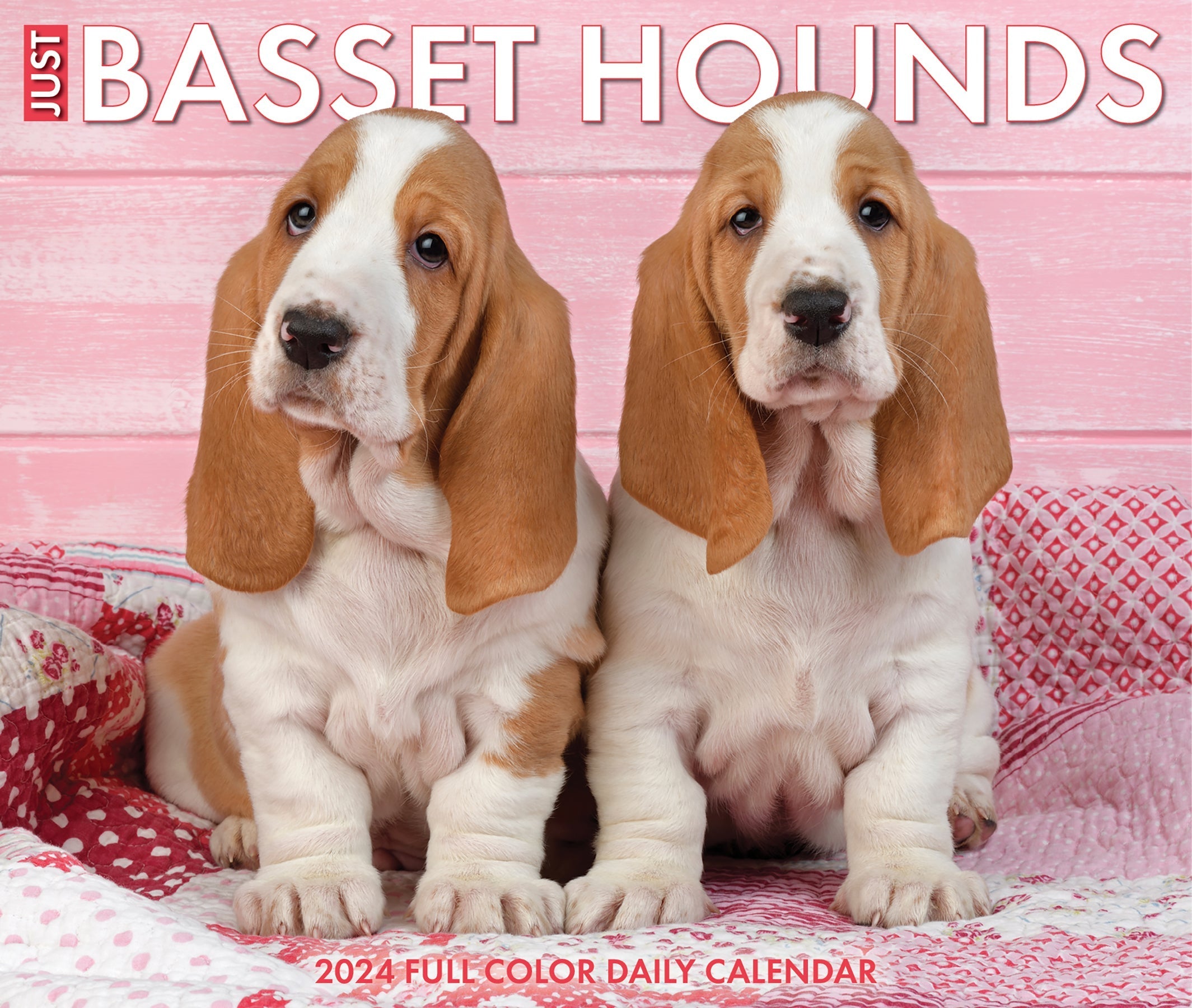 2024 Basset Hounds - Boxed Page A Day Calendar