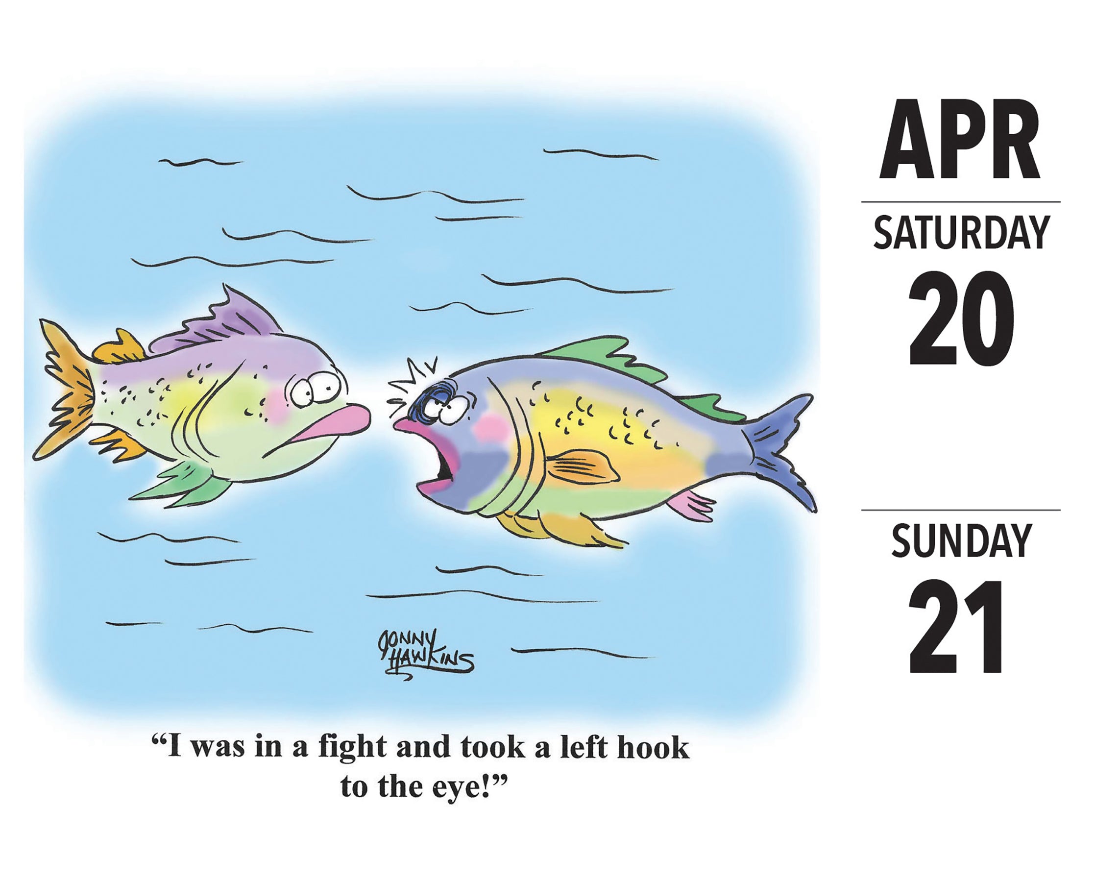 2024 Fishing Cartoon-A-Day by Jonny Hawkins - Boxed Page A Day Calendar