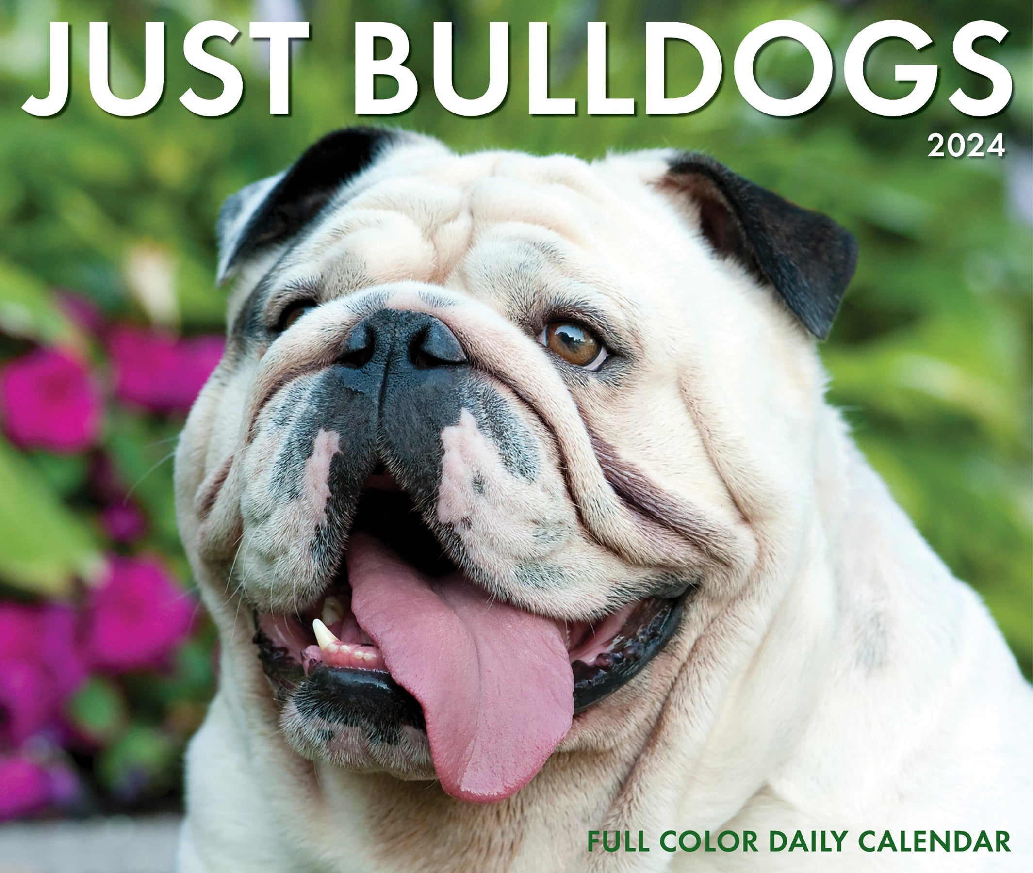 2024 Bulldogs - Boxed Page A Day Calendar