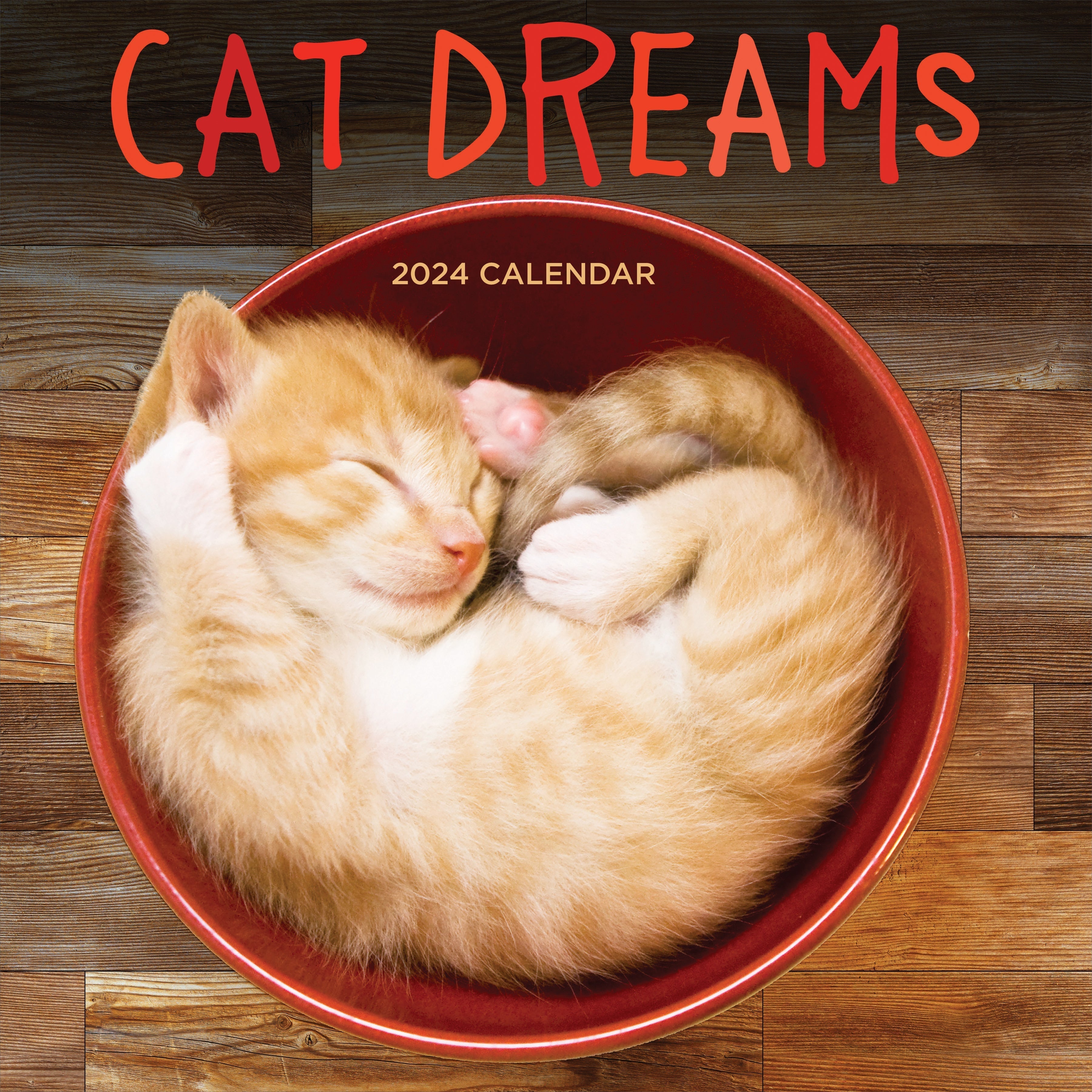 2024 Cat Dreams - Square Wall Calendar